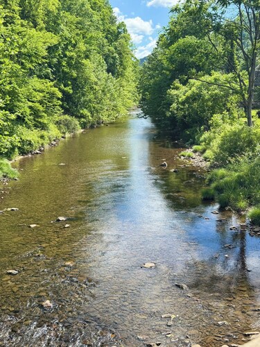 Charming 4-bedroom cabin in Morris perfect for relaxing getaways by the creek