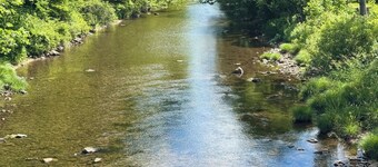 Charming 4-bedroom cabin in Morris perfect for relaxing getaways by the creek