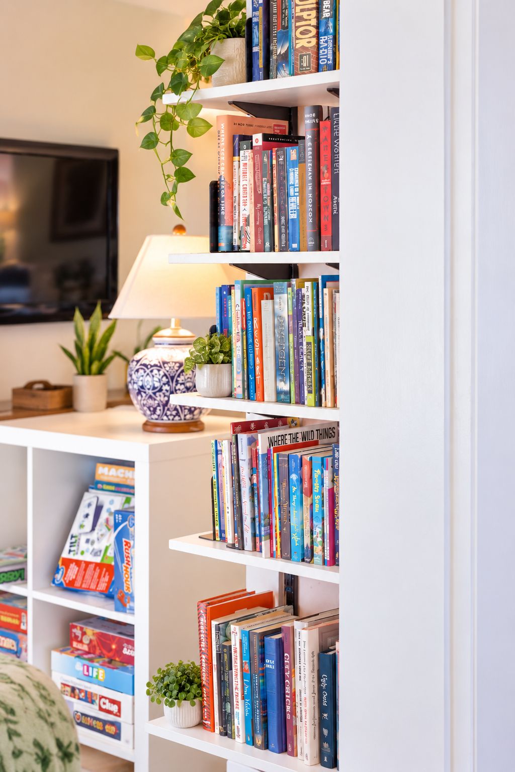 A bookshelf with various books and a potted plant.