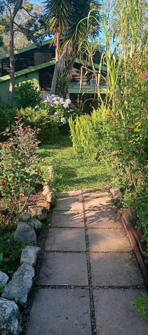 Un sendero de piedra serpentea por un jardín con diversas plantas y un edificio al fondo.