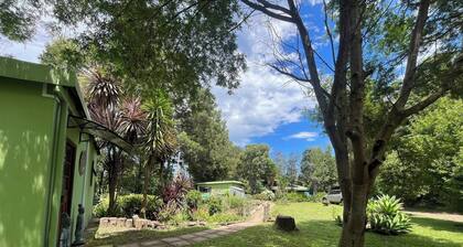 Cozy Private Cottage With Garden Views Fern Grove