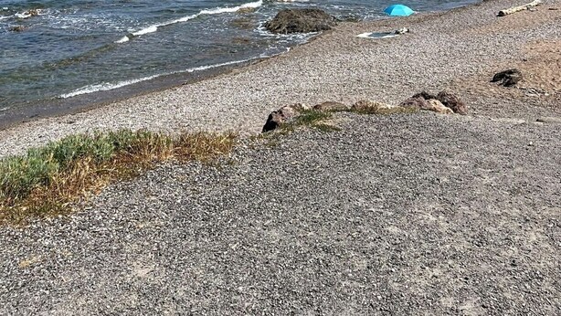 Een kiezelstrand met een heldere lucht en rustige zee.