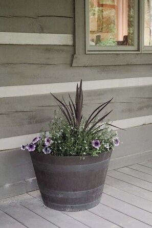 A large planter with purple flowers and green foliage on a porch. - Cozy Cabin- Pisgah Forest, Trails, Waterfalls, River, Brevard & Asheville (Mills River)
