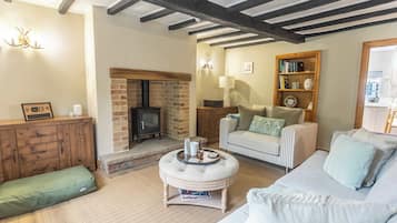 TV, fireplace, offices