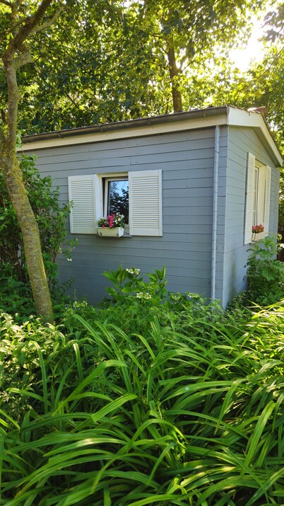 Country-Style Tiny Log Cabin