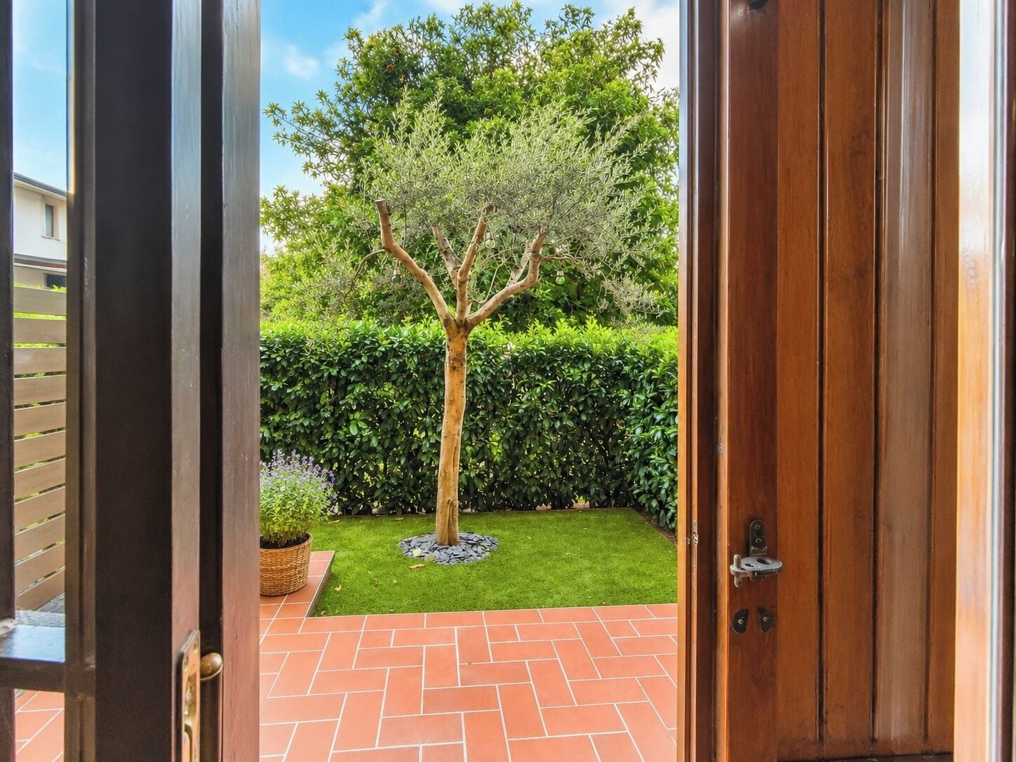 Une porte en bois qui donne sur un jardin agrémenté d’un arbre, d’une haie et d’une terrasse carrelée.