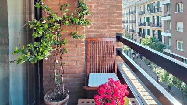Un balcon avec un pot de fleurs, une chaise et une table sur laquelle se trouve un autre pot de fleurs.