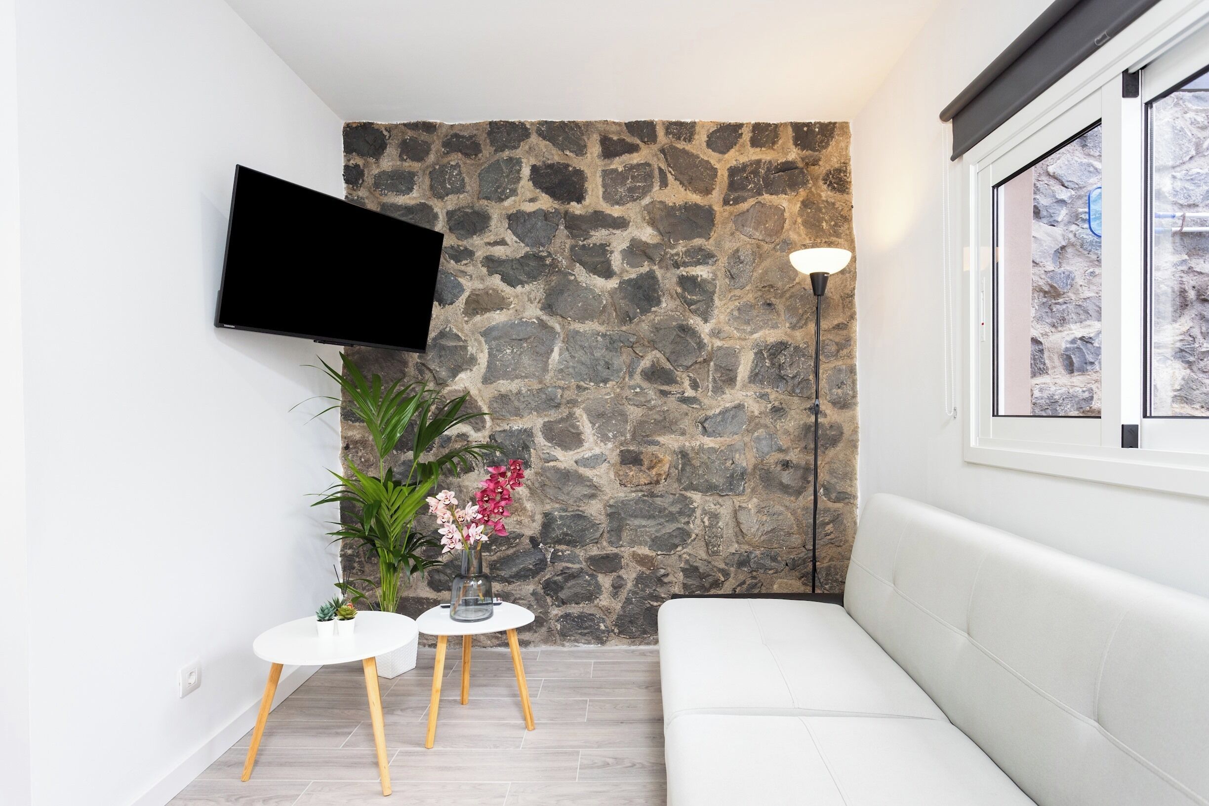 Smart TV