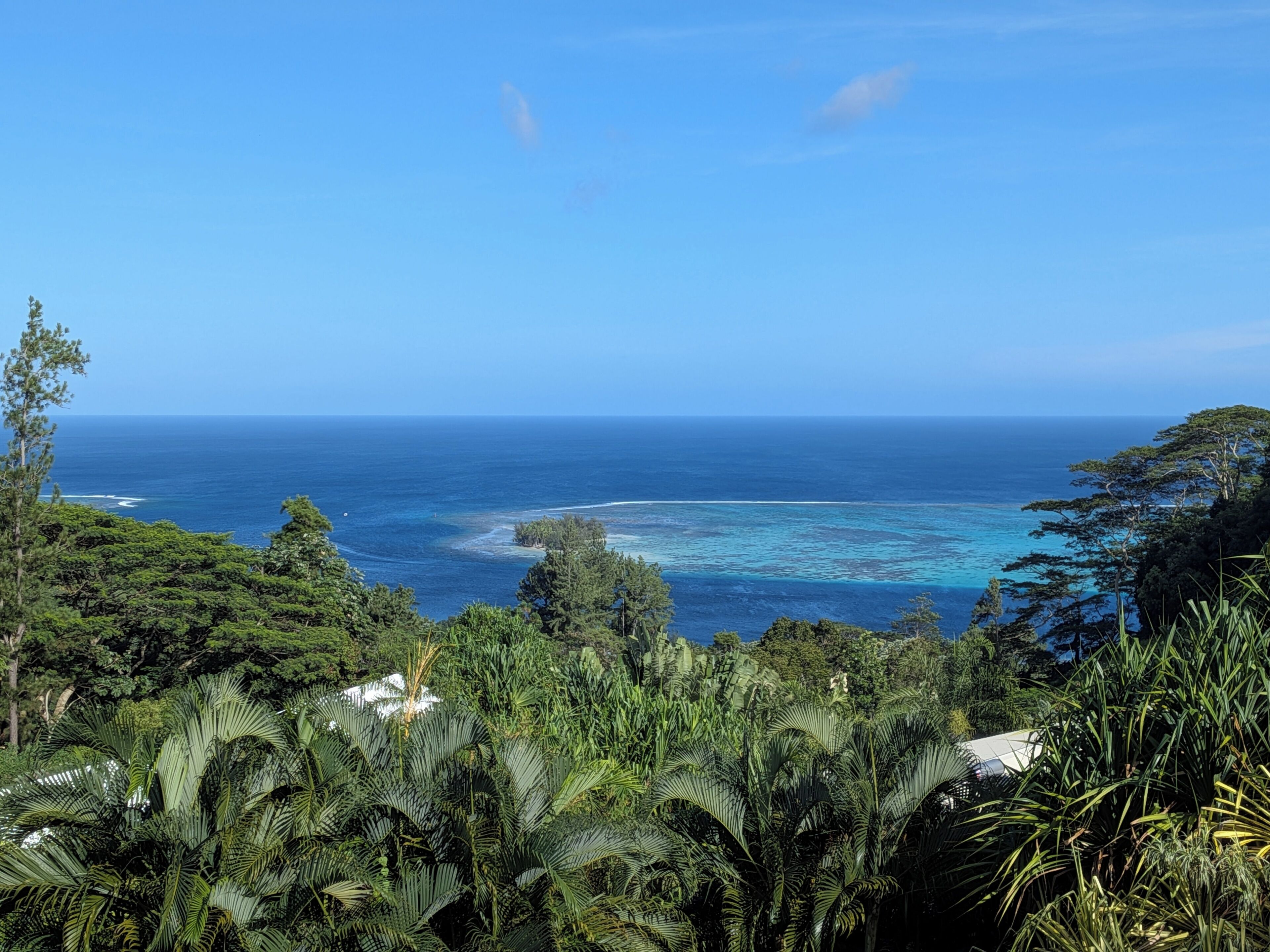 A tropical landscape with dense greenery, a clear blue sky, and a view of the ocean.