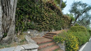 Eine Steintreppe mit Backsteinsetagen führt zu einer Steinmauer, umgeben von Grünpflanzen und gelben Blumen.