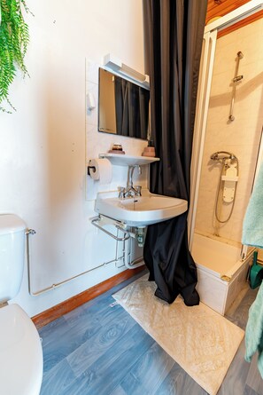 Shower, hair dryer, towels - Cozy, centrally located, quiet, and fully equipped studio—ideal for medical treatment, tourism, or business trips (Bourbonne-les-Bains)