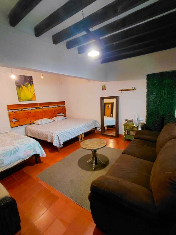 Casa Aldama 83. - San Miguel de Allende