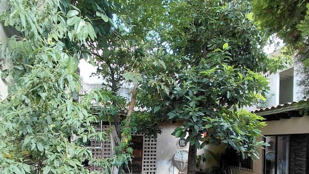 A courtyard with a paved area, a small table, and various plants. - Casa Aldama 83. (San Miguel de Allende)