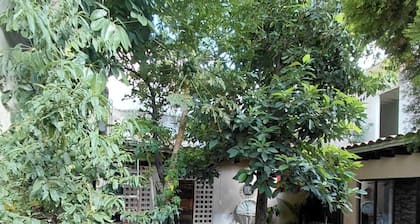 Casa Aldama 83.