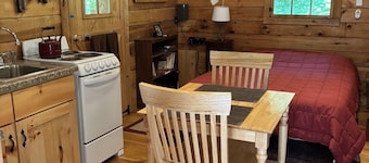 One-room cabin in terrific WI Driftless Area near city of Viroqua