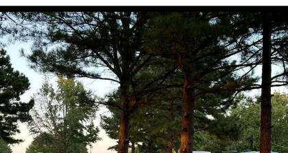 Private Family Owned RV Campground in Colt, Arkansas; 8 Stalls on 2.5 acres!