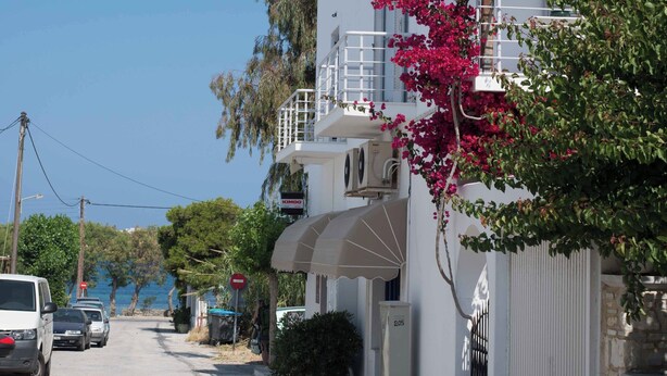 Une rue bordée de voitures garées, un immeuble blanc doté de balcons et des plantes en pot.
