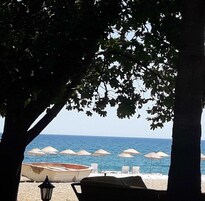 Una playa con sombrillas y un bote.