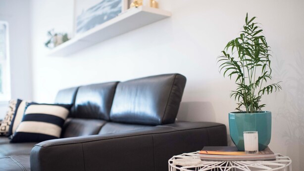 A modern living room with a dark leather sofa, a white round side table with a plant and a candle, and a white wall with a shelf. - BONDI HAVEN- CHIC 2 BEDROOM APARTMENT (Bondi)