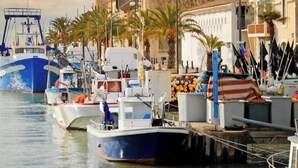 Una marina con varias embarcaciones amarradas, un muelle con equipo y un edificio con palmeras al fondo.