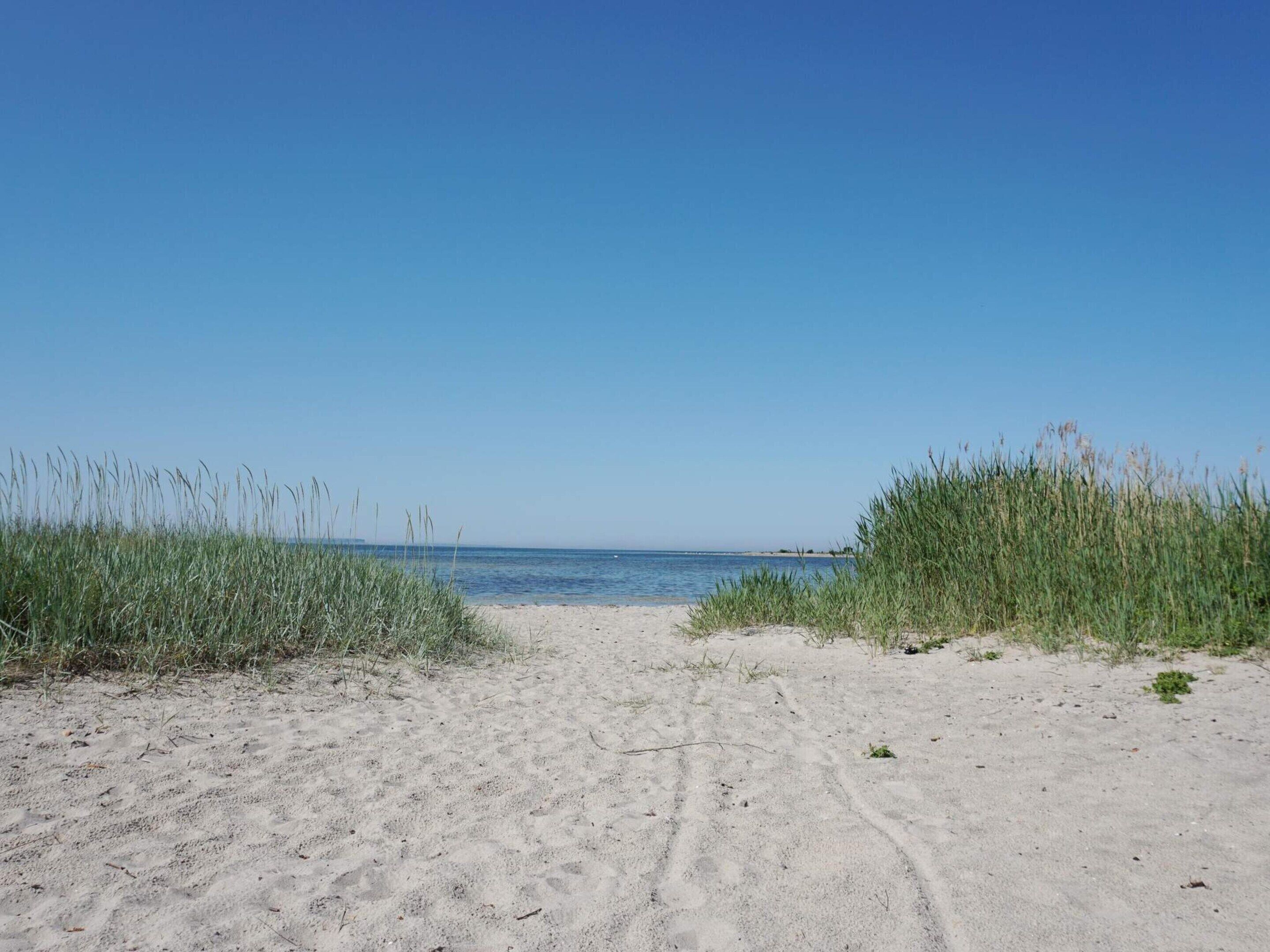 House | Beach