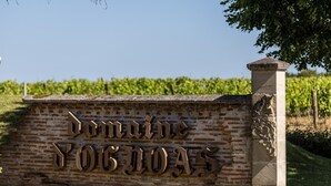 Une pancarte en pierre portant l’inscription « dominoes » dans un vignoble.