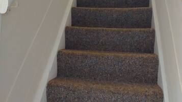 A staircase with carpeted steps and white handrails.