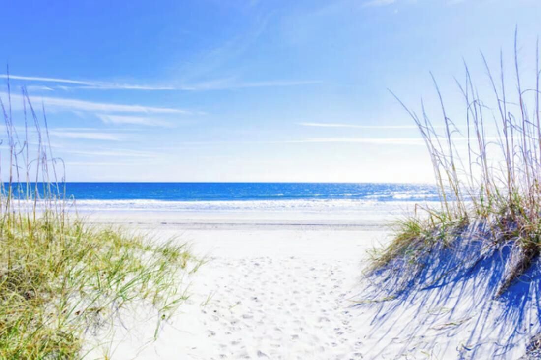 En sti langs stranden, med sand og græs på begge sider.