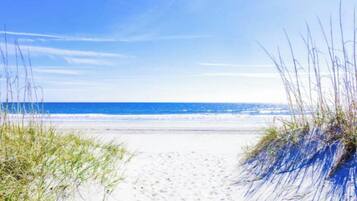 En sti langs stranden, med sand og græs på begge sider.