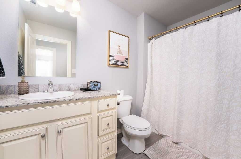 Une salle de bain avec un lavabo blanc, des toilettes, un rideau de douche et un tableau encadré au mur.