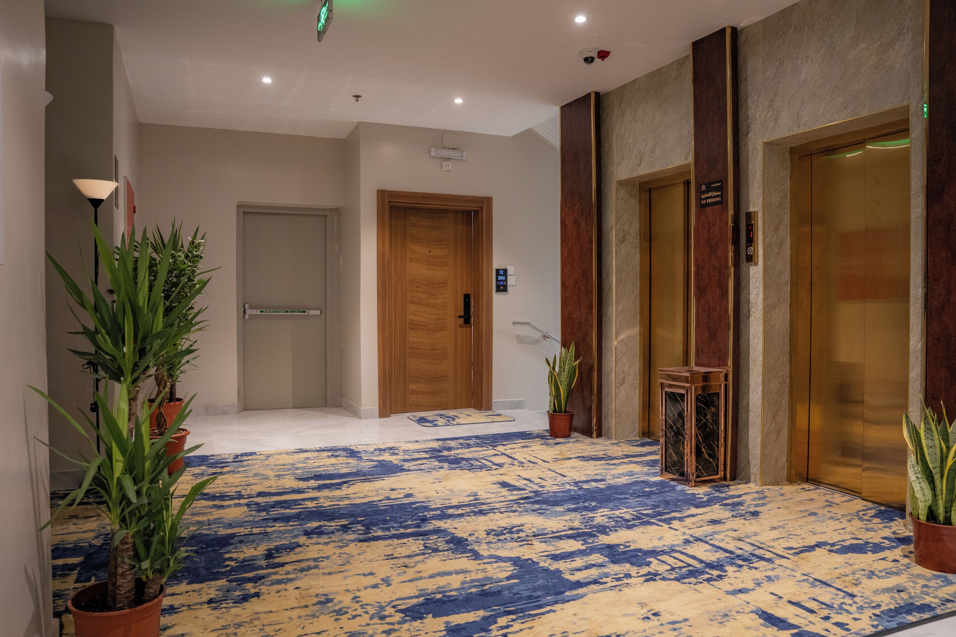 Um corredor com carpete estampado, portas de madeira e plantas em vasos.