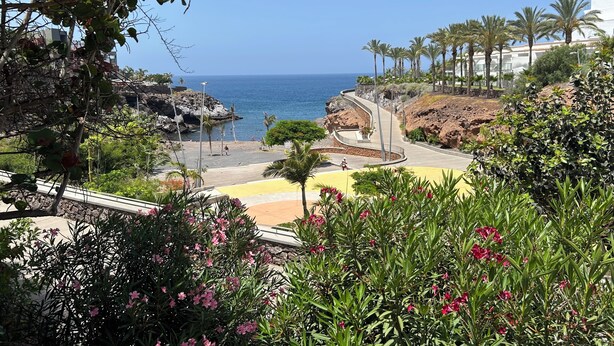 Une vue sur la côte, avec une promenade dallée, des palmiers et un ciel bleu dégagé.