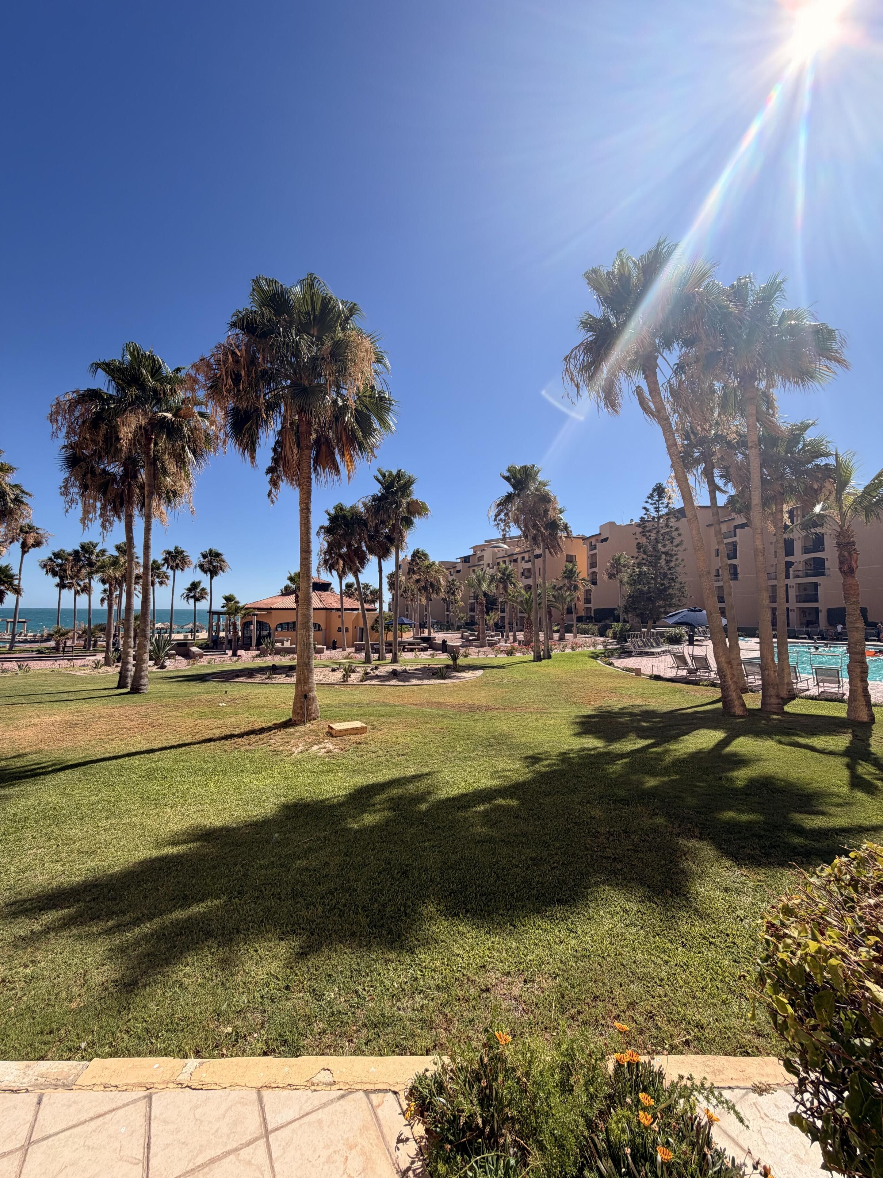A resort with palm trees, a pool area, and buildings in the background.