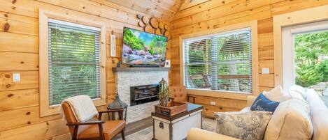 Smart-TV, Kamin, Videospiele, DVD-Player