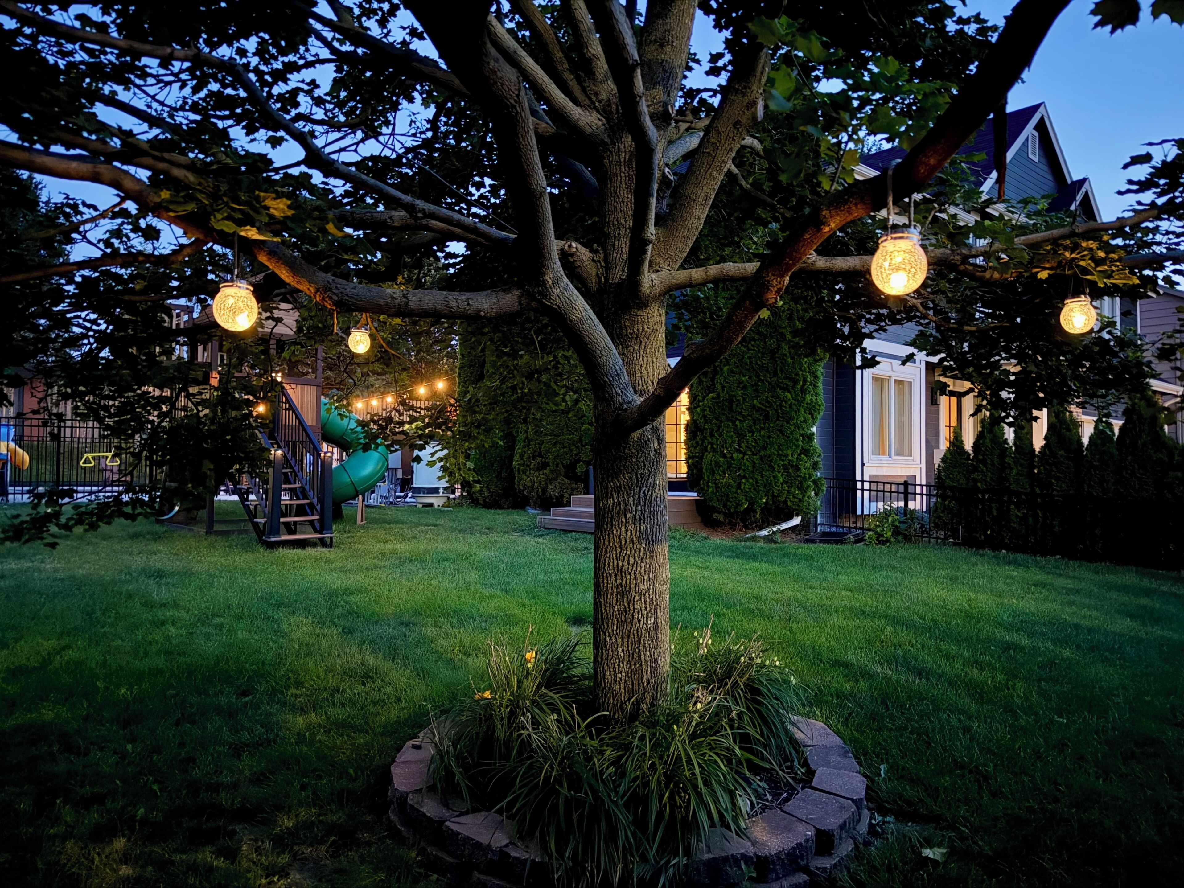 Un árbol con luces colgantes, un área con césped y un parque infantil al fondo.