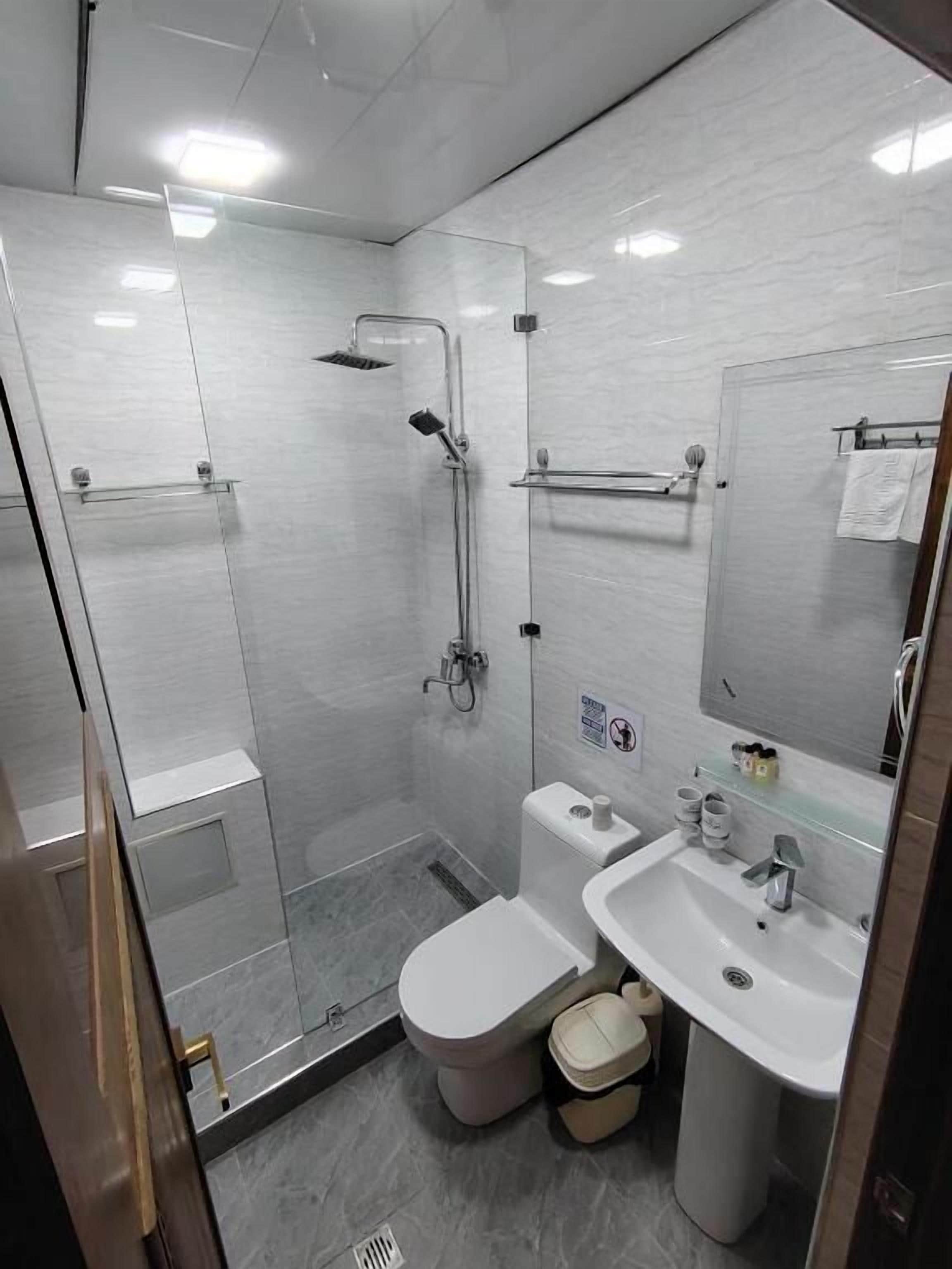 A modern bathroom with a glass shower enclosure, a toilet, a sink, and a mirror.