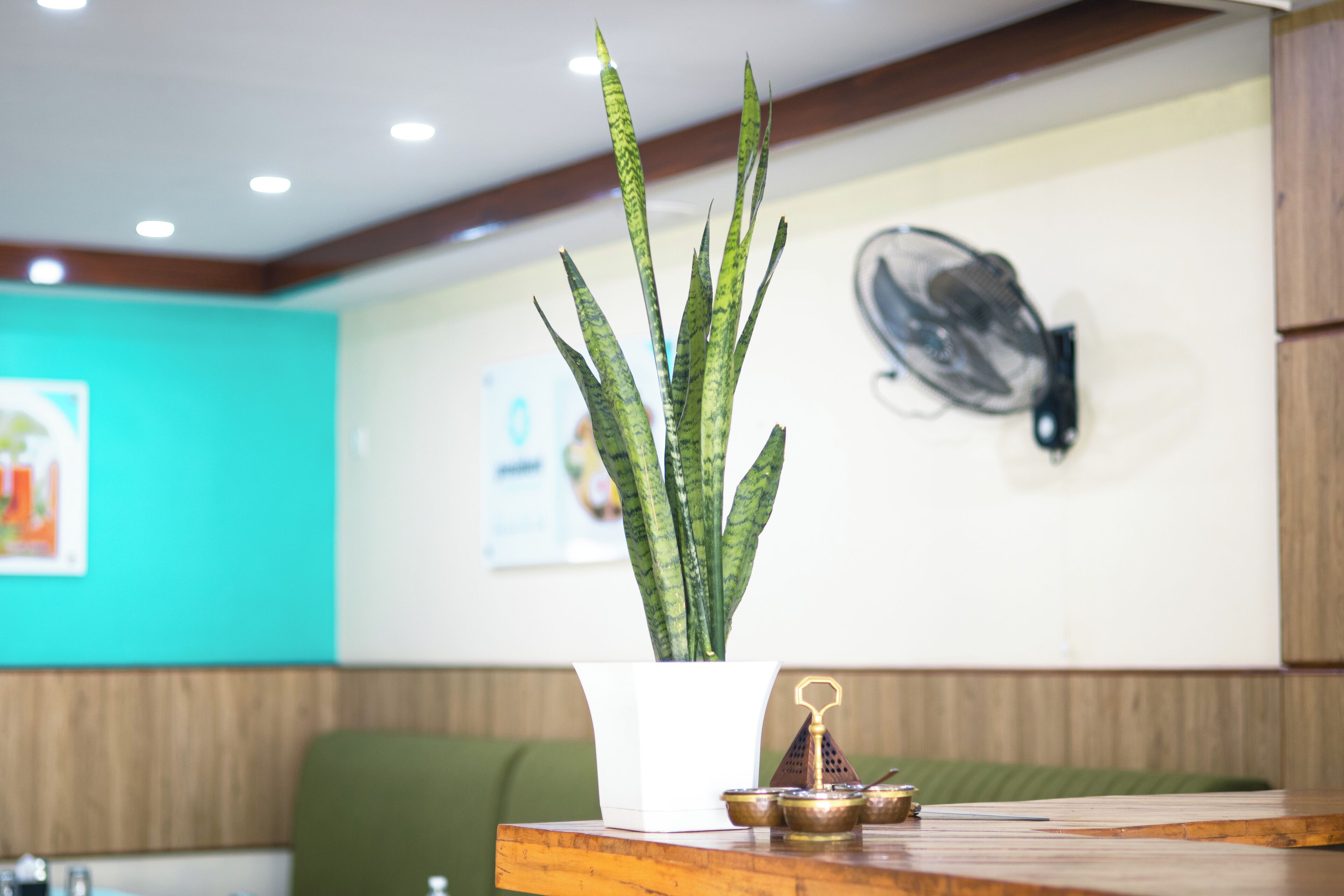 Un área de recepción con una planta en maceta, un ventilador de pared y una barra de madera.