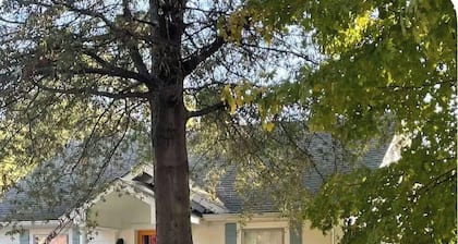 Cozy 2-bedroom cottage in Sikeston’s historic north end. 2 min drive to hospital