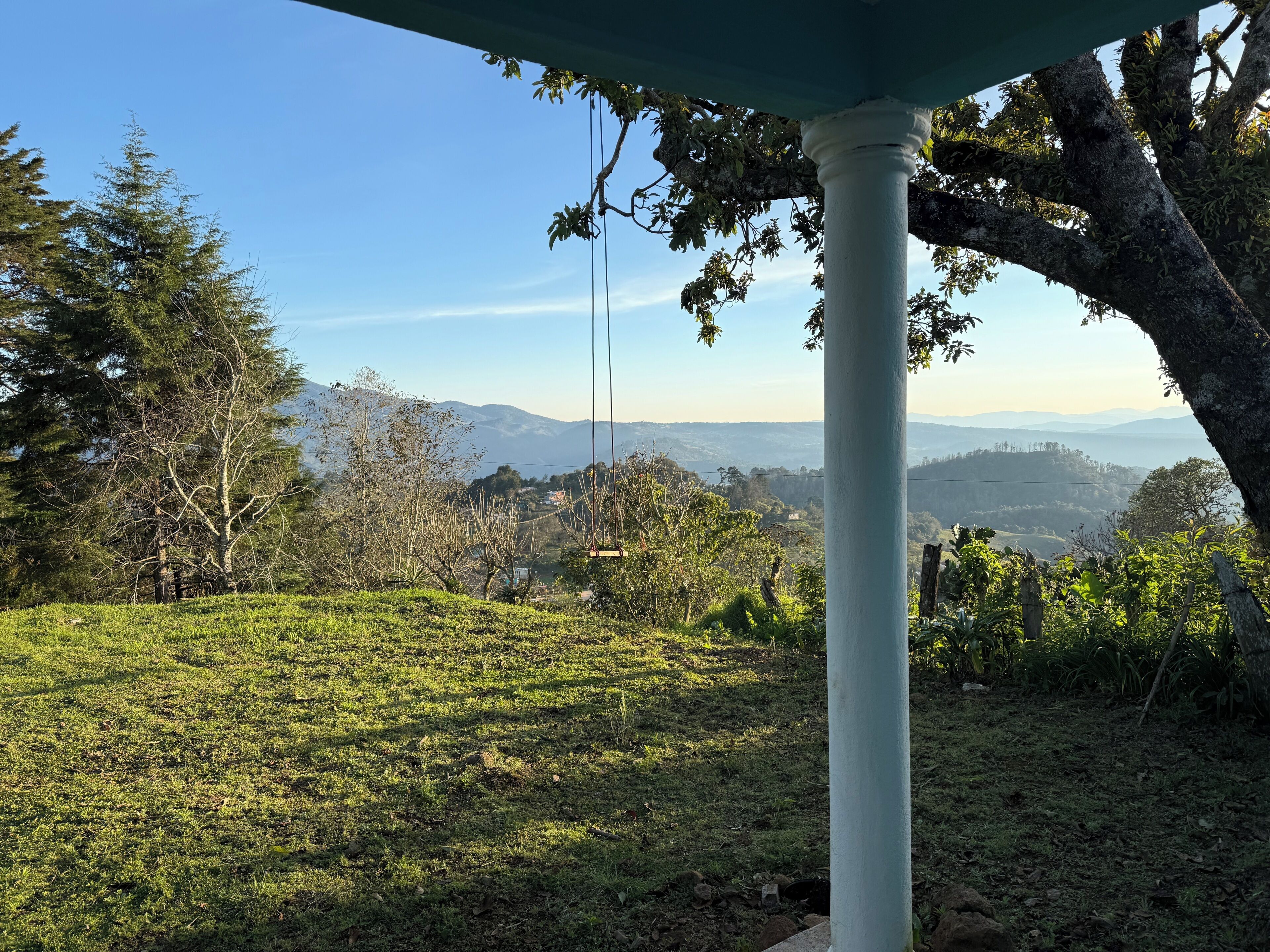 A grassy area with trees and a clear view of distant mountains.