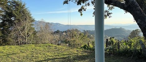 A grassy area with trees and a clear view of distant mountains.
