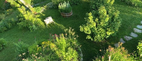 Un jardin où l’on trouve une grande variété de plantes, ainsi qu’un petit espace aménagé avec des sièges.