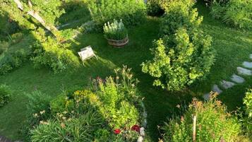 Ein Garten mit verschiedenen Pflanzen und einer kleinen Holzbank.