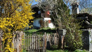 A traditional house with a wooden fence, surrounded by trees with yellow flowers.