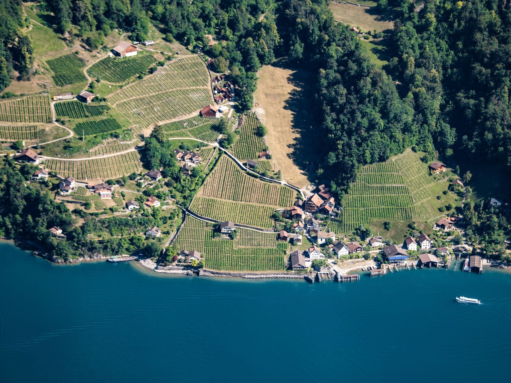 Vista aérea