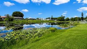 Eine friedliche Seenlandschaft mit einer Wiese, einem Teich mit Seerosen und Häusern im Hintergrund.