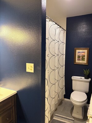 Bathroom - Perfect 3-bedroom condo in lovely Winter Park (Winter Park)