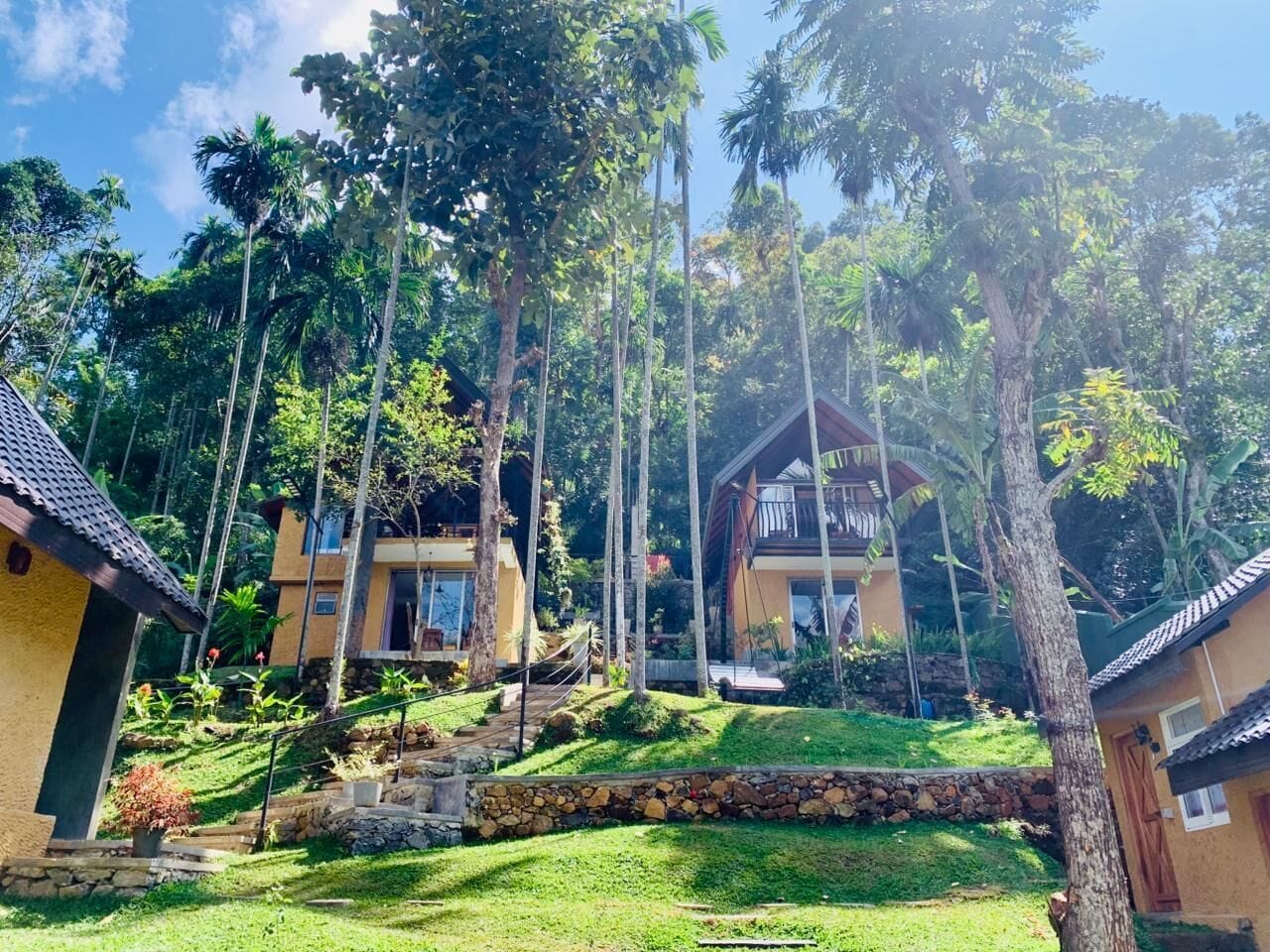 Garden view