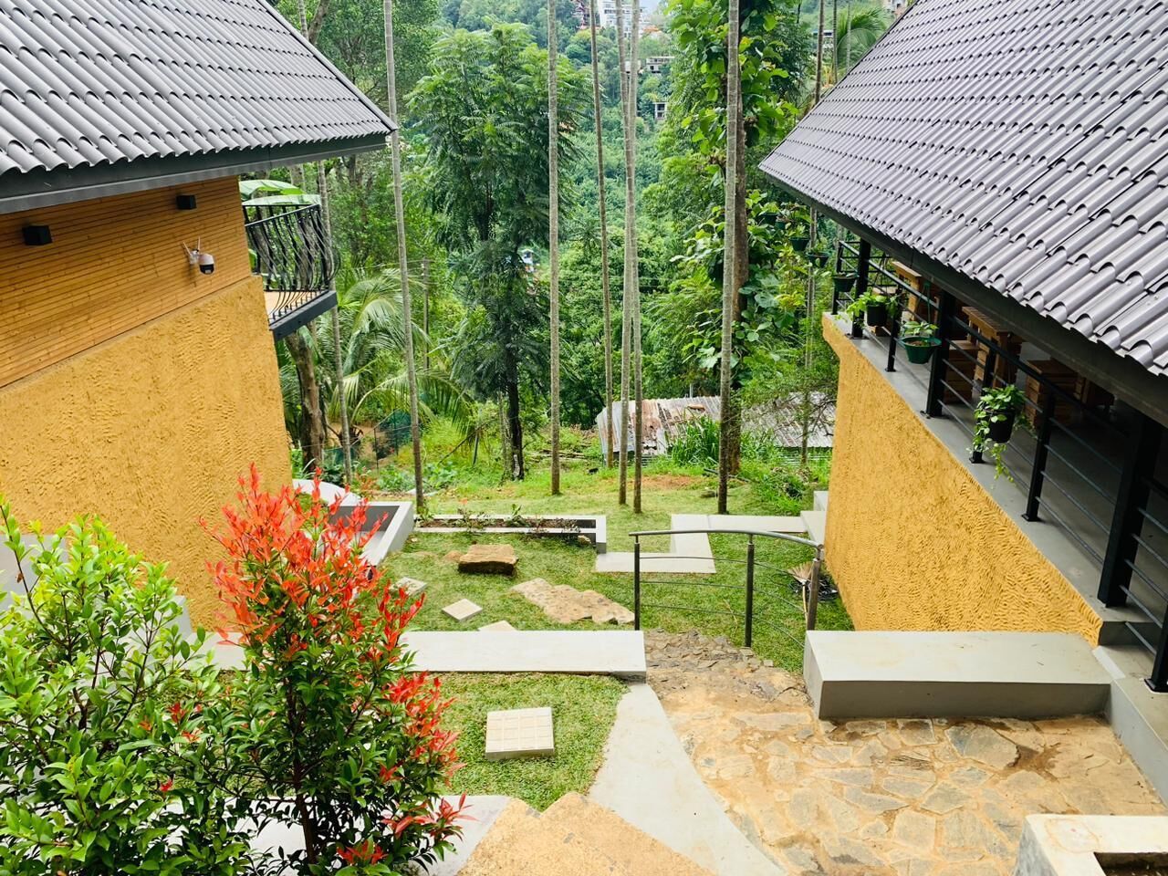 A courtyard with a stone pathway, a small garden area, and two buildings with tiled roofs.