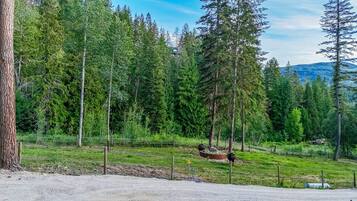 A fenced outdoor area with a dirt path, surrounded by tall evergreen trees and a mountain in the background.