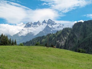 Un champ verdoyant avec une chaîne de montagnes en arrière-plan.